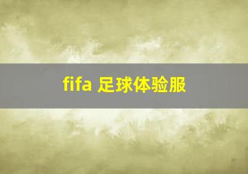 fifa 足球体验服